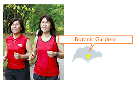 スクリーンショット 2015-07-01 17.58.17