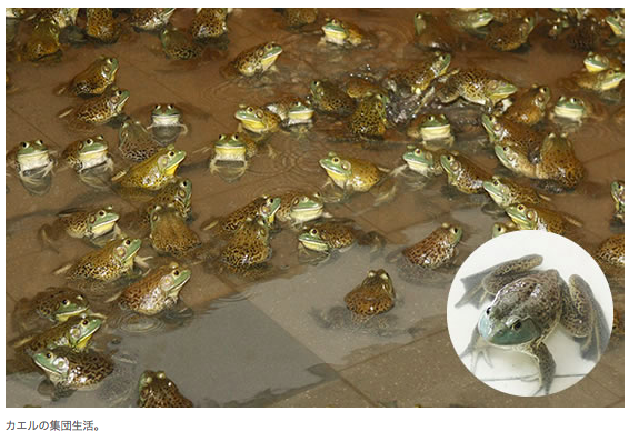 スクリーンショット 2015-07-01 18.18.34