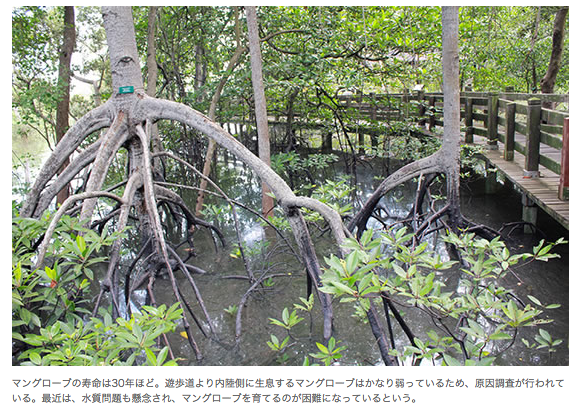 スクリーンショット 2015-07-02 12.03.56