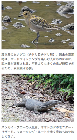 スクリーンショット 2015-07-02 12.04.05