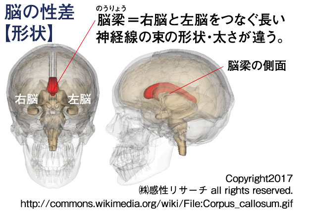 326web_Figure1-r1